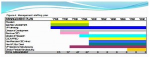 Management Chart